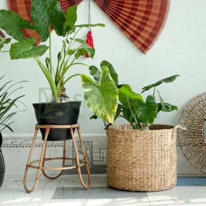 Water Hyacinth Storage Basket With Rope Straps Wholesale