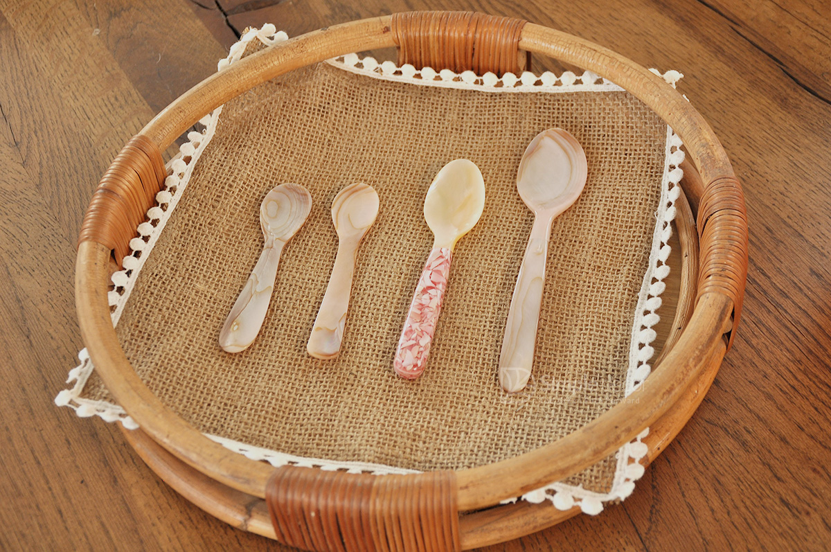 Areca Leaf MOP Spoon Wholesale Made In Vietnam